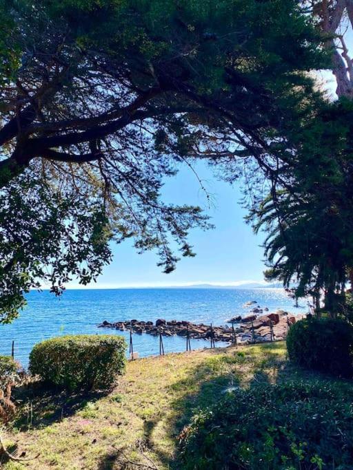 Studio Bord De Mer Boulouris A Saint Raphael Buitenkant foto